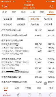中新藥業對外投資資金性質解析 自有資金與借貸資金的權衡