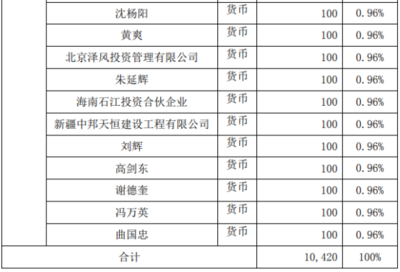 自有資金對外投資 策略、優(yōu)勢與風(fēng)險(xiǎn)管控