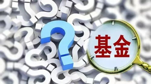 新基三月遭巨贖，債市潛規(guī)則浮出水面 一戶金主“暴力控盤”與自有資金投資亂象